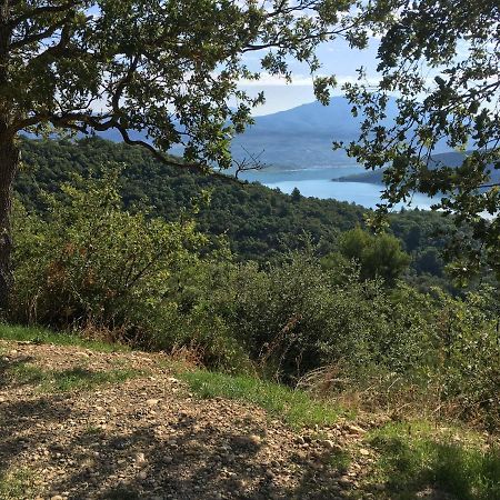 Perle Rare Villa Sainte-Croix-de-Verdon Buitenkant foto